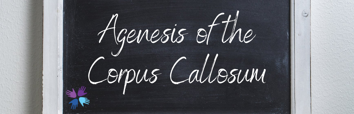 Agenesis of the Corpus Callosum header image
