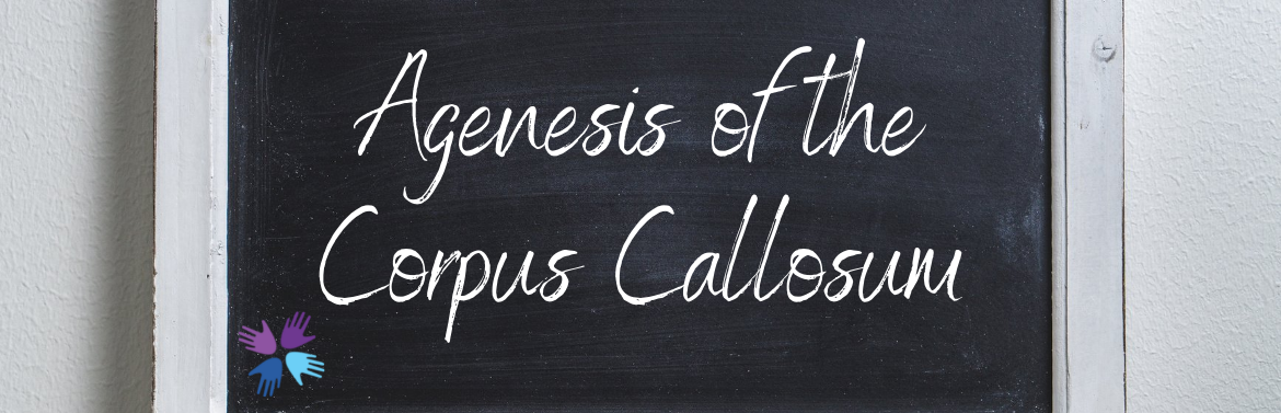 Agenesis of the Corpus Callosum