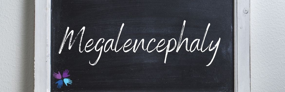 Megalencephaly header image