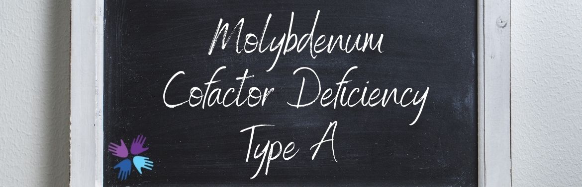 Molybdenum Cofactor Deficiency Type A header 2