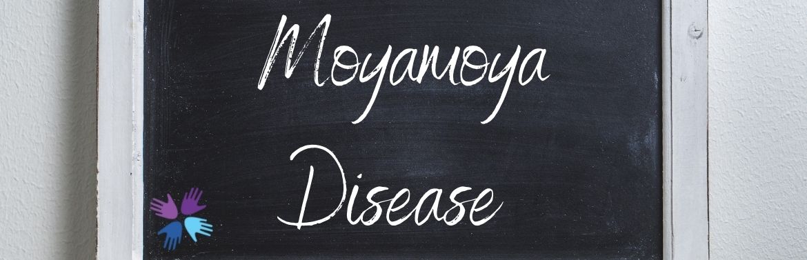 Moyamoya header Moyamoya header