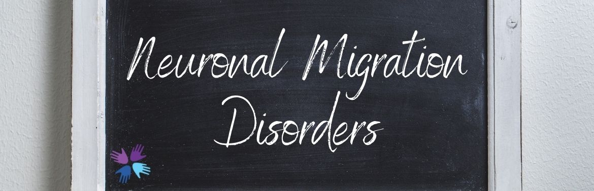 Neuronal Migration Disorders header image